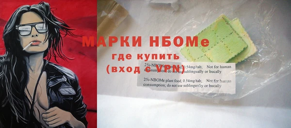 хмурый Алзамай