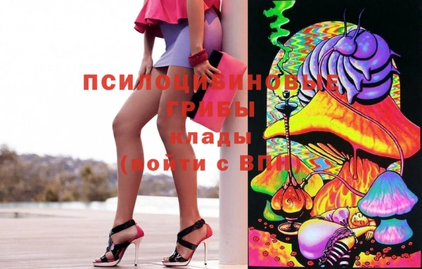 хмурый Алзамай