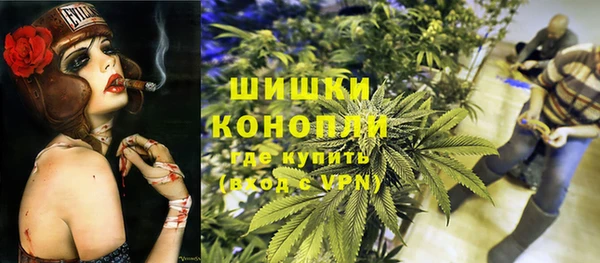 хмурый Алзамай