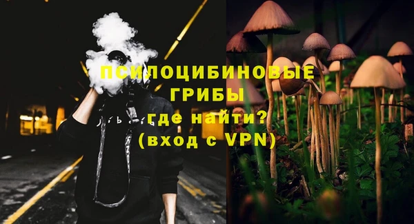 СК Алексеевка